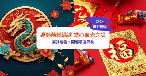 生肖屬狗|【屬狗2024生肖運勢】運勢荊棘滿途，當心血光之。